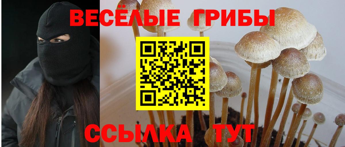 Псилоцибиновые грибы мухоморы Кызыл